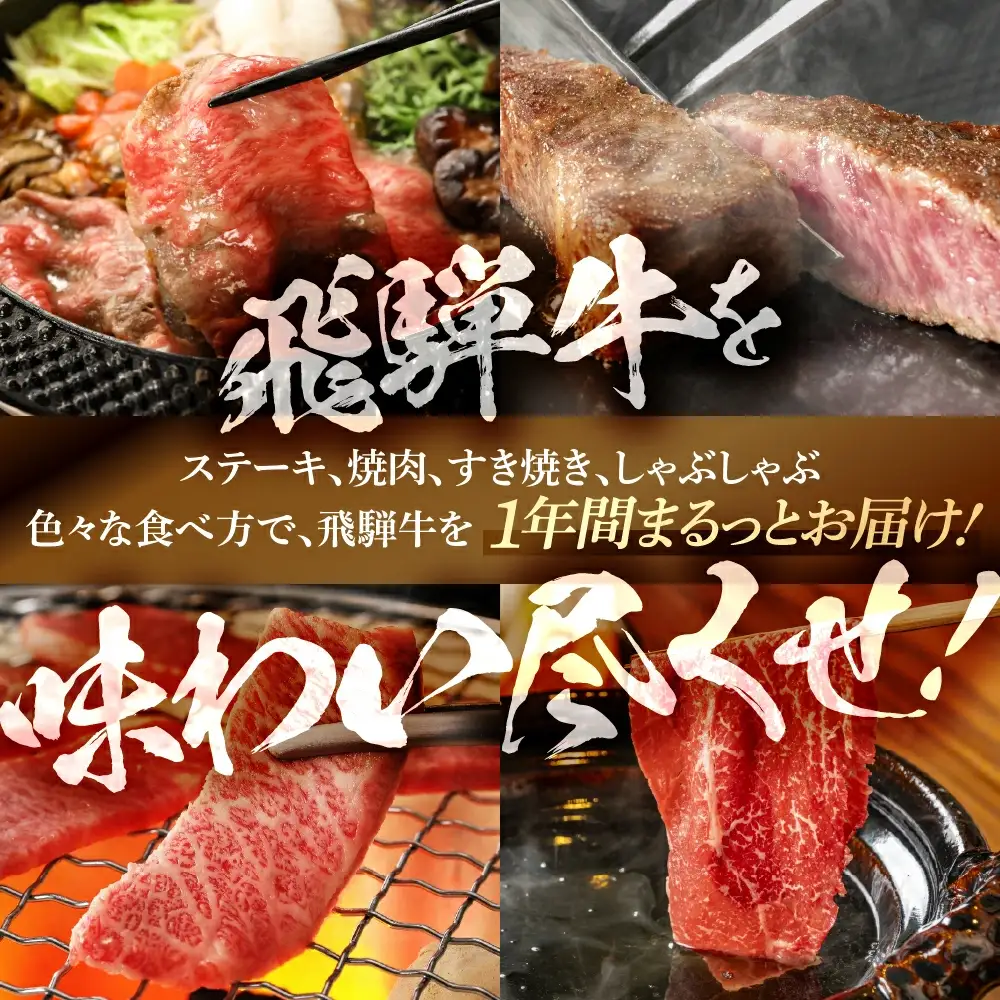 【定期便 12回】飛騨牛まるごと1年味わい尽くし定期便（3～5人前）【70-D】