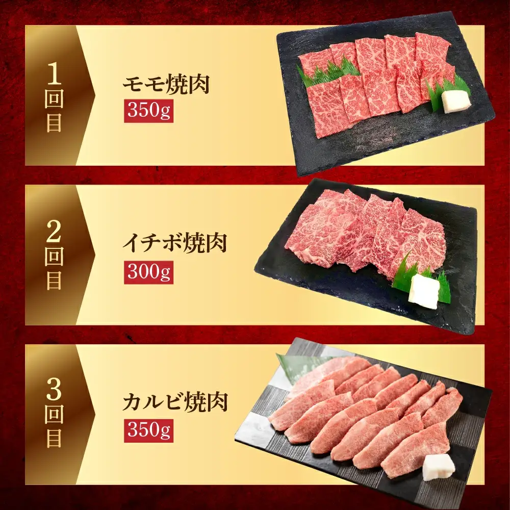 【定期便 3回】飛騨牛焼肉三昧！3ヶ月 連続定期便（2～3人前）【70-G】