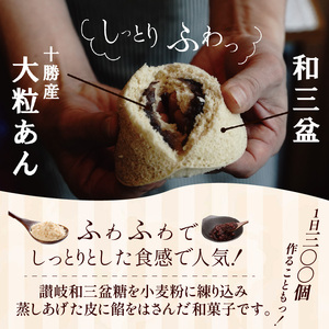 【人気どら焼き2種 5個入】和三盆 蒸しどら（プレーン）× 3 どら焼き(てらどら）×2 餡 ふわふわ しっとり食感 あいちの匠 ものづくりマイスター 優秀和菓子職 愛知県優秀技能者表彰受賞 H181-008