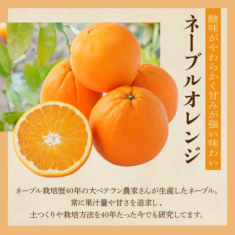 [先行予約] 和歌山県産ネーブル 約4kg　大玉（8個～9個）秀品 こだわり農家厳選 ［KG35］