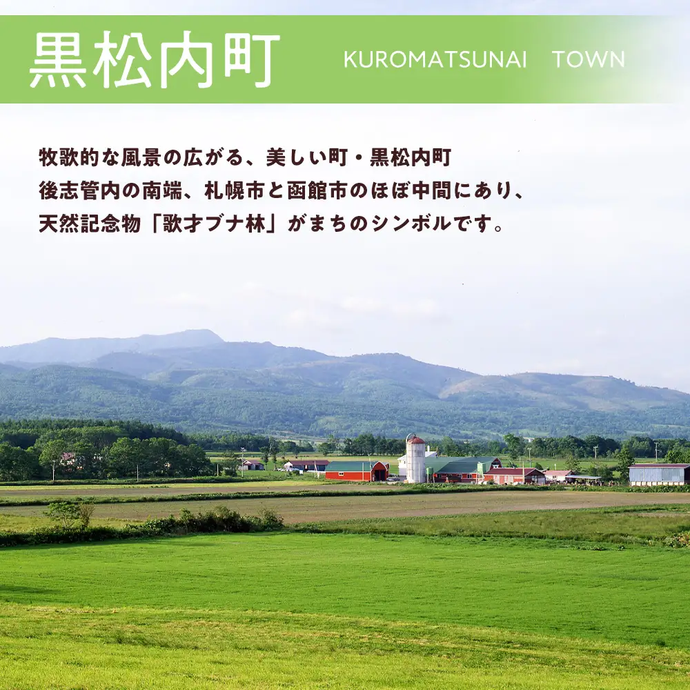 北海道 黒松内町☆応援寄付金☆【返礼品なし】50,000円分