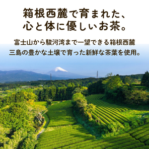 緑茶 やぶきた 中煎茶 200g (100g×2袋) 国産 静岡茶