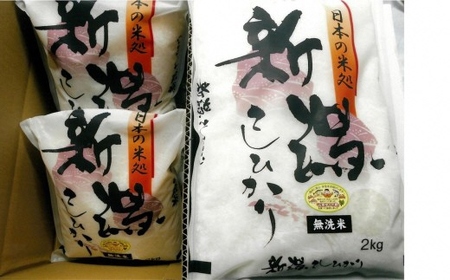 【令和7年産米】コシヒカリ 無洗米 6kg（2kg×3袋）中村農研 小分け[Y0608]