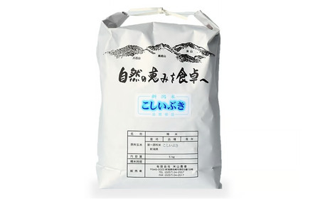 【令和7年産米】こしいぶき 白米 5kg 新潟米 [Y0612]
