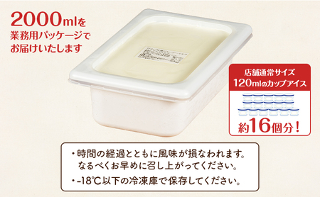 業務用 ジェラート ソルベ 2L フレッシュイチゴ 大容量 アイス デザート スイーツ ミルク 牛乳 北海道 上富良野町