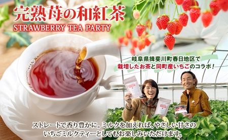 完熟苺の和紅茶 ティーバッグ 2g×10個入り 2袋 セット いちご 紅茶 和紅茶 お茶 在来茶 ストロベリーティー フレーバーティー ティー TEA プレゼント 贈り物 送料無料 傳六茶園 岐阜県 揖斐川町