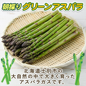 《数量・期間限定》朝採り グリーンアスパラ(1kg・ M～2L混合)【2026年4月下旬以降発送予定】アスパラガス アスパラ 北海道産 野菜 朝採り 産地直送 新鮮野菜 【おがた農園】【B7076】