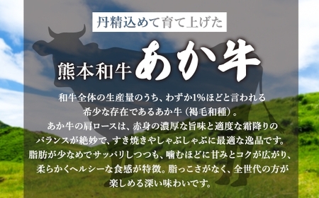 熊本県産和牛 「 あか牛 」 肩ロース 約500g 牛肉 お肉 ニク 肉 にく 牛 国産牛 国産 熊本県産 あか牛 熊本和牛あか牛