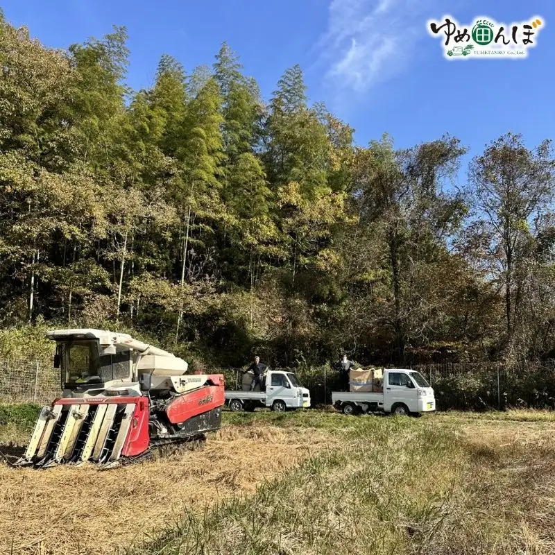 三重県産　伊賀米コシヒカリ　5kg　白米【ymtb0005】