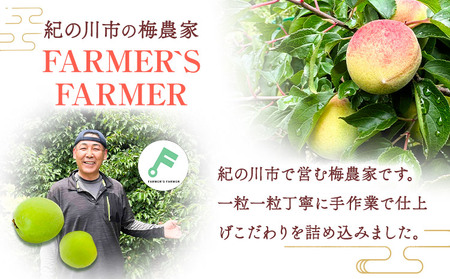 梅 紀州南高梅 3kg FARMER'S FARMER《6月上旬-7月中旬頃出荷》和歌山県 紀の川市 うめ 南高梅 青梅 紀の川市産