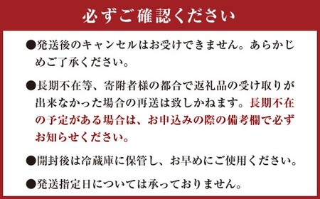 ひとさじでおうちごはんを整える発酵調味料・玉ねぎ麹 （1個） 玉ねぎ 麹 熊本県 水俣市
