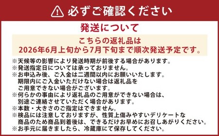  とうもろこし ゴールドラッシュ 約3.5kg～約4kg （ 8～15本 ） M～特サイズ【 2026年6月上旬から7月下旬まで順次発送予定 】  トウモロコシ 野菜 やさい フルーツコーン