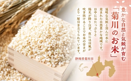 【10営業日発送】【令和7年産】静岡県産コシヒカリ 玄米 5kg （5kg×1袋） 【2026年8月下旬迄順次発送予定】 コシヒカリ こしひかり  米 コメ こめ ご飯 ごはん 菊川市 静岡県