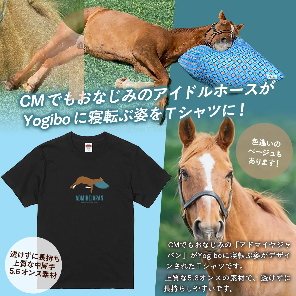 【アドマイヤジャパン×Yogibo】Ｔシャツ_Mサイズ（ブラック） BRTV036-2