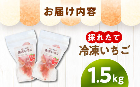 冷凍いちご1.5キロ / 苺 いちご 冷凍 冷凍いちご / 恵那市 / 阿部農園[AUGA012]