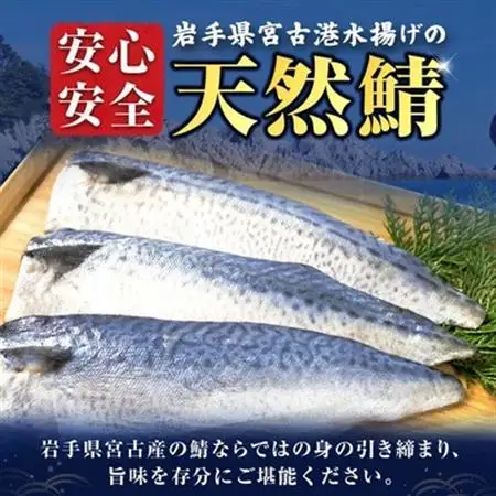 国産無塩さば　フィーレ・フィレ　1kg　無添加【配送不可地域：離島】【1722188】