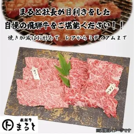 【飛騨牛】お勧め希少部位2種セット　250g×2【配送不可地域：離島】【1721860】
