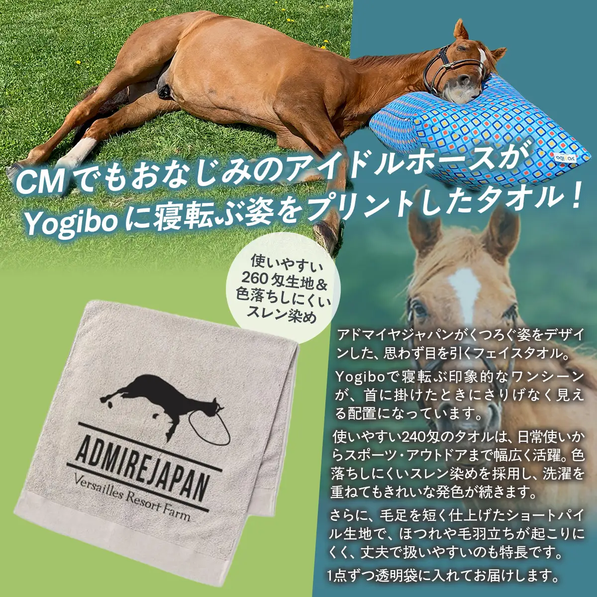 【アドマイヤジャパン×Yogibo】フェイスタオル BRTV042