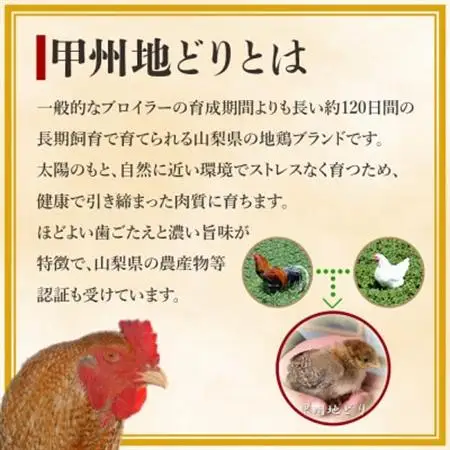 甲州地どりコラーゲンスープ 250ml×4袋 山梨ブランド地鶏の濃厚白湯 ラーメンなどのアレンジも!【配送不可地域：離島】【1664742】