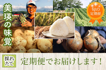 旬の野菜セット 5回 定期便  新鮮な野菜 百合 美瑛の四季【令和8年産予約受付】 