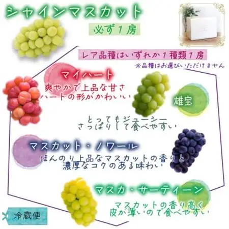 岡山　花笑み農園のブドウ『園主おすすめシャイン親子セット』【配送不可地域：離島】【1718266】