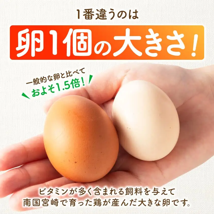 宮崎県産鶏卵　「南国からの贈り物」大きな卵40個入り（35個+破損補償5個）【たまご 卵 玉子 タマゴ】