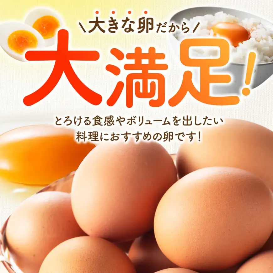 【12ヶ月定期便】宮崎県産鶏卵　「南国からの贈り物」大きな卵40個入り（35個+破損補償5個）【たまご 卵 玉子 タマゴ】