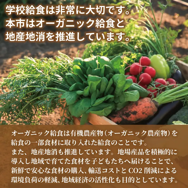 【返礼品なし】SDGs持続可能な食の環境づくり！オーガニック給食と地産地消 推進応援寄附（大阪府泉佐野市）