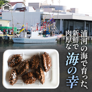 北海道浦河産『活なまこ』1kg※不在日・日付指定対応不可※[06-1591]