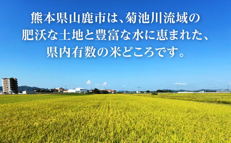 【先行予約】 令和8年度産 ヒノヒカリ 玄米 30kg 【奥村果実園】[ZFK011]