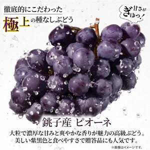 訳あり ピオーネ 1房 450g 以上 ぶどう 数量限定 種なし ぶどう