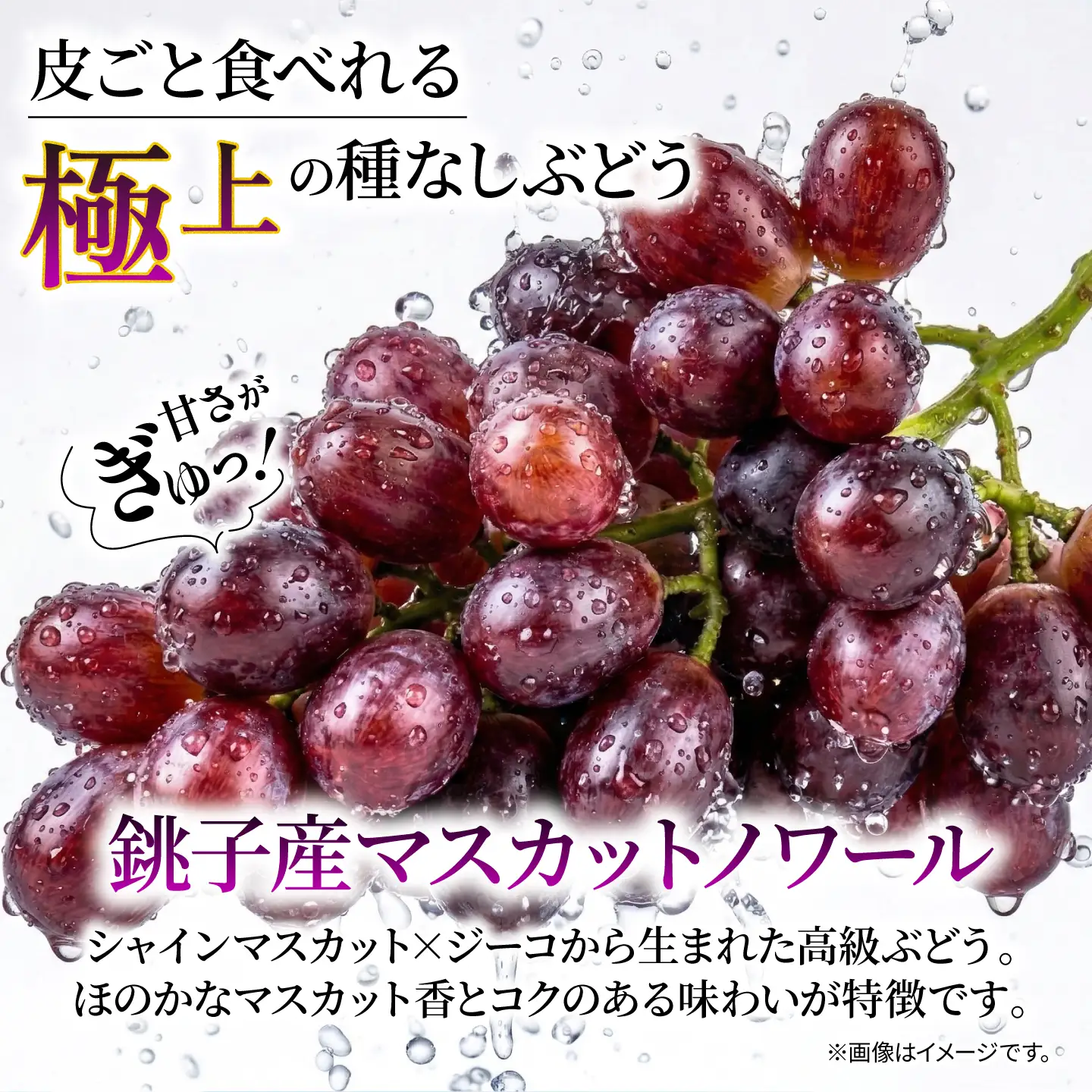訳あり マスカットノワール  1房 450g 以上 数量限定 種なし