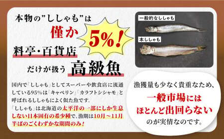 【ふるなび限定】しらぬか産 本ししゃも 30尾 オスメス 各15尾 ししゃも シシャモ 子持ちししゃも 卵 魚卵 魚 魚介 国産 北海道 北海道産 ふるさと納税_A021-1026