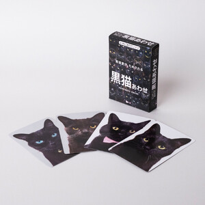 難易度MAXのツンデレ仕様！黒猫あわせ