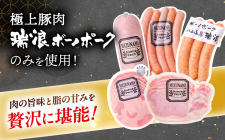 【12回定期便】 ハム・ソーセージ 瑞浪ボーノポーク ハム工房世界一記念セット 800g (冷凍) 瑞浪市 / きなぁた瑞浪 詰め合わせ ギフト[AZCI118]
