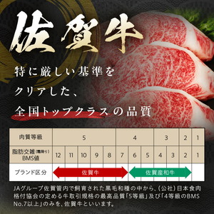 A5ランク佐賀牛サーロインサイコロステーキ250g 212-J1792