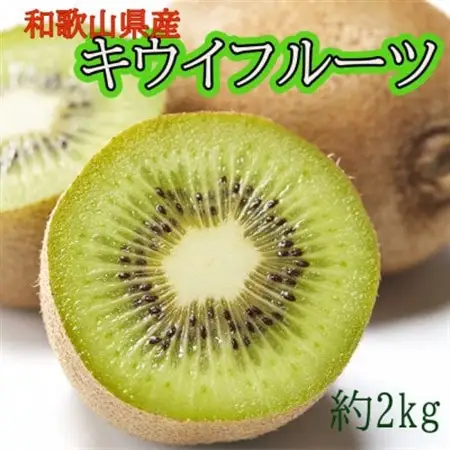 【発送月固定定期便】和歌山の春のフルーツ(キウイ・ポンカン・不知火)全3回【4084006】