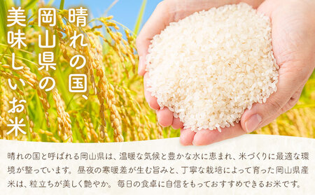 岡山県産 こしひかり 10kg(5kg×2袋)  精米 全農パールライス株式会社《30日以内に出荷予定(土日祝除く)》 岡山県 浅口市 送料無料 こめ 精米 コシヒカリ