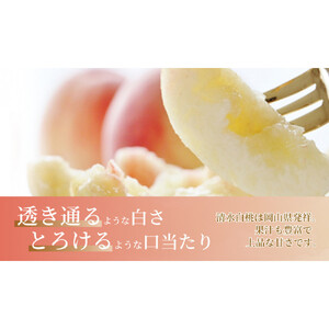 《2026年発送》岡山県産 清水白桃 約3kg 9～12玉