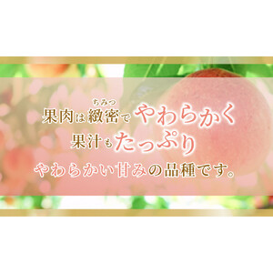 《2026年発送》岡山県産 桃 白鳳 約3kg 9～12玉