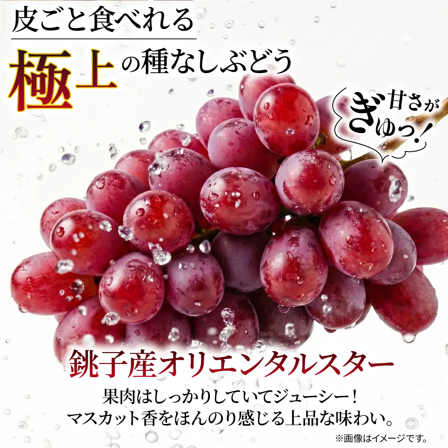 訳あり ぶどう オリエンタルスター 2房 900g 以上 数量限定 種なし ぶどう