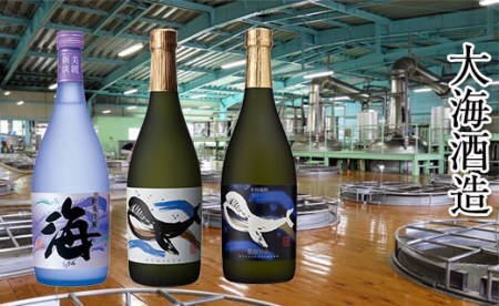 B2-25176-fa2026／＜2026父の日ギフト＞大海酒造 　720ml　3本セット