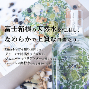 ジン HOP GIN CITRA 500ml 1本 クラフトジン 酒 お酒 スピリッツ 蒸留酒 国産 カクテル アルコール JIN ソーダ割り GIN アルコール ロック ソーダ ジントニック ボタニカル ギフト プレゼント お祝い 日用品 消耗品 晩酌 REPUBREW リパブリュー 静岡県 三島市