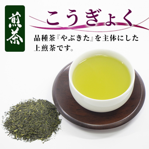 農薬不使用！煎茶 こうぎょく 100g 常磐園 白川茶 美濃白川茶 日本茶 緑茶 煎茶 茶葉 お茶 一番茶 春摘み リーフ 国産 お試し 岐阜県 東白川村