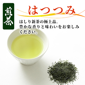 農薬不使用！煎茶 はつつみ 100g 常磐園 白川茶 美濃白川茶 日本茶 緑茶 煎茶 茶葉 お茶 一番茶 春摘み リーフ 国産 お試し 岐阜県 東白川村 走り新茶