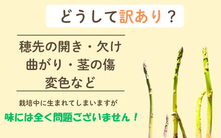 【期間限定】＼訳あり／アスパラガス みゆきアスペルジュ サイズ混合 1kg入り(20〜25本)《出荷時期：2026年4月下旬頃〜》株式会社ForestDoor  (Ce-010)