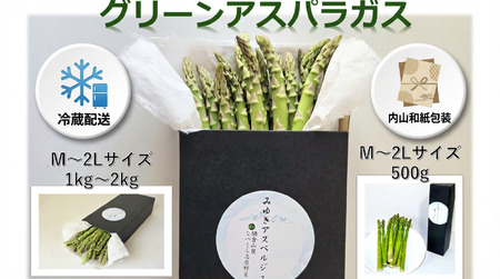 【期間限定】アスパラガス みゆきアスペルジュ　Mサイズ 500g入り(17〜20本)《出荷時期：2026年4月下旬頃〜》株式会社ForestDoor  (Ce-001)