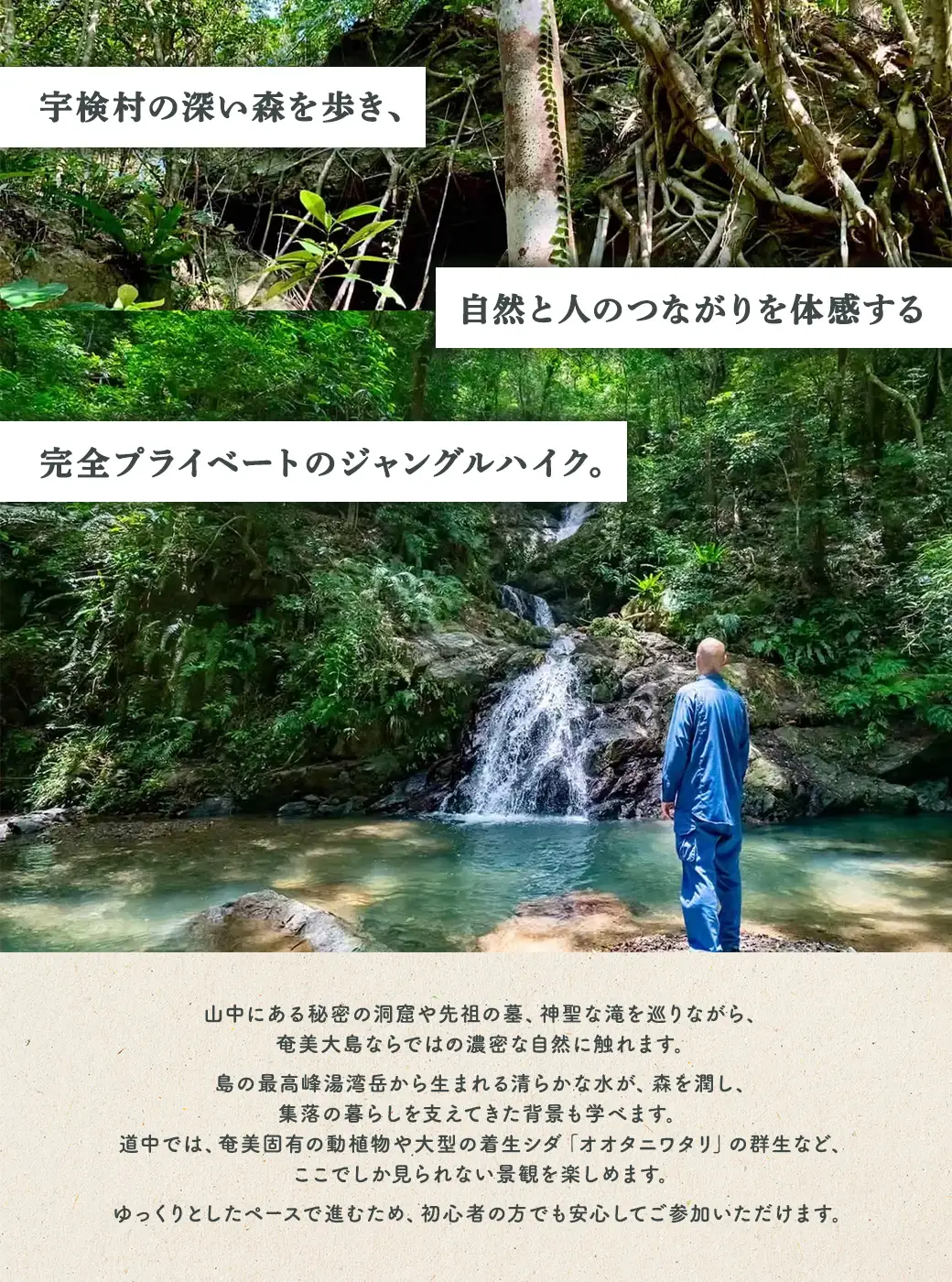 宇検ジャングル冒険 3名様 奄美大島 宇検村 鹿児島県 旅行 自然 冒険 完全プライベート