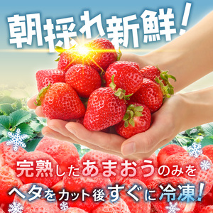 増永農園 訳あり冷凍あまおう 1kg 〔Fi081-02〕