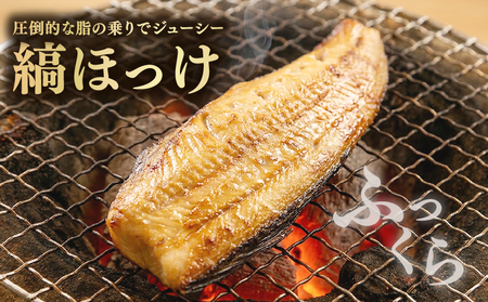 【訳あり】ほっけ 1.3kg 縞ほっけ